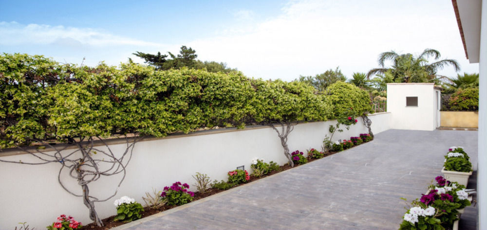 Monte Monaco B&B San Vito Lo Capo Dış mekan fotoğraf